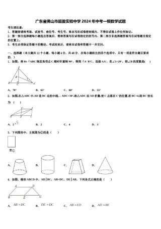 广东省佛山市超盈实验中学2024年中考一模数学试题含解析.doc