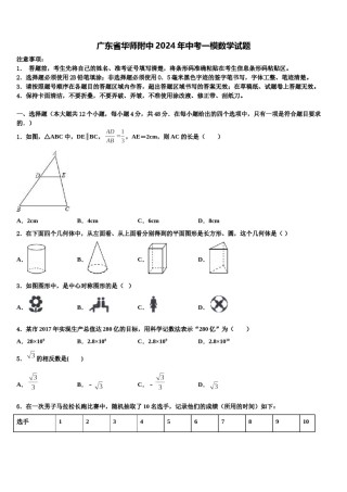 广东省华师附中2024年中考一模数学试题含解析.doc