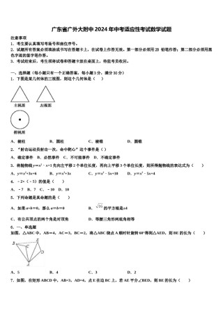 广东省广外大附中2024年中考适应性考试数学试题含解析.doc