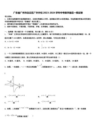 广东省广州市白云区广外外校2023-2024学年中考数学最后一模试卷含解析.doc