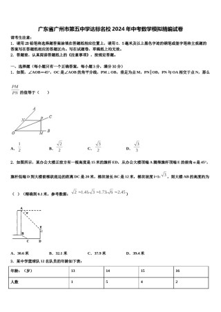 广东省广州市第五中学达标名校2024年中考数学模拟精编试卷含解析.doc
