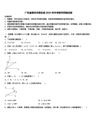 广东省惠州市惠东县2024年中考数学四模试卷含解析.doc