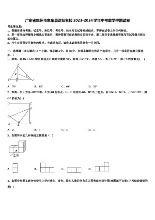 广东省惠州市惠东县达标名校2023-2024学年中考数学押题试卷含解析.doc