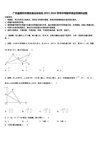 广东省惠州市惠东县达标名校2023-2024学年中考数学适应性模拟试题含解析.doc