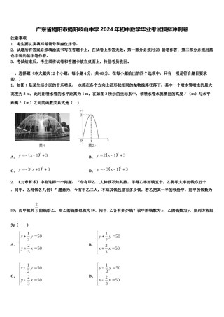 广东省揭阳市揭阳岐山中学2024年初中数学毕业考试模拟冲刺卷含解析.doc