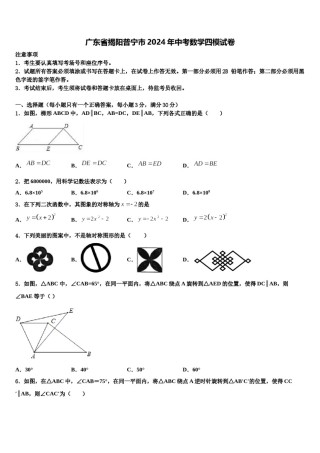 广东省揭阳普宁市2024年中考数学四模试卷含解析.doc
