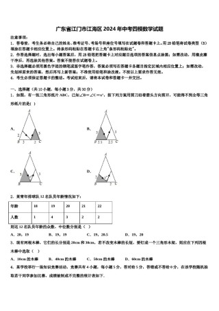 广东省江门市江海区2024年中考四模数学试题含解析.doc