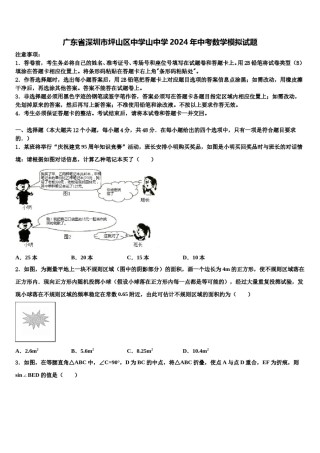 广东省深圳市坪山区中学山中学2024年中考数学模拟试题含解析.doc