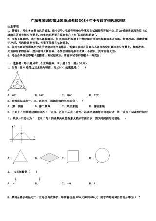 广东省深圳市宝山区重点名校2024年中考数学模拟预测题含解析.doc