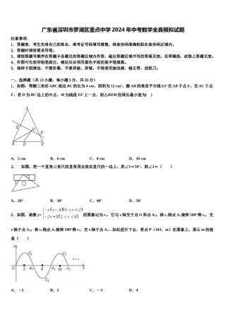 广东省深圳市罗湖区重点中学2024年中考数学全真模拟试题含解析.doc