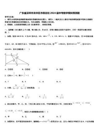 广东省深圳市龙华区市级名校2024届中考数学模拟预测题含解析.doc