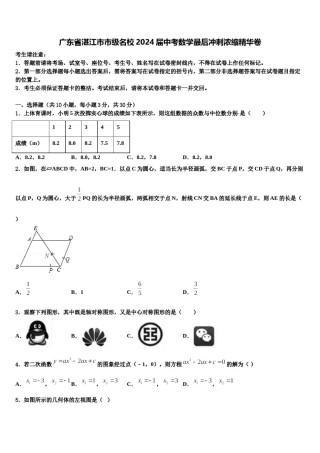 广东省湛江市市级名校2024届中考数学最后冲刺浓缩精华卷含解析.doc