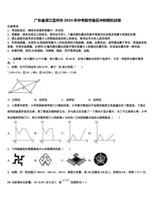 广东省湛江雷州市2024年中考数学最后冲刺模拟试卷含解析.doc