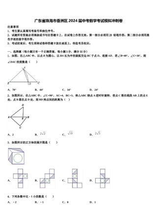 广东省珠海市香洲区2024届中考数学考试模拟冲刺卷含解析.doc