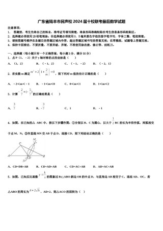 广东省陆丰市民声校2024届十校联考最后数学试题含解析.doc