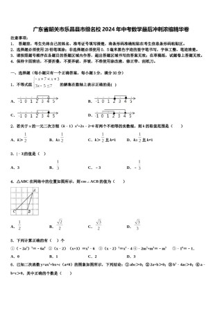 广东省韶关市乐昌县市级名校2024年中考数学最后冲刺浓缩精华卷含解析.doc
