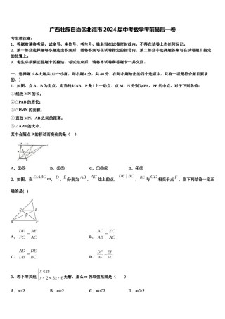 广西壮族自治区北海市2024届中考数学考前最后一卷含解析.doc