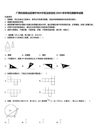 广西壮族自治区南宁市兴宁区达标名校2024年中考五模数学试题含解析.doc