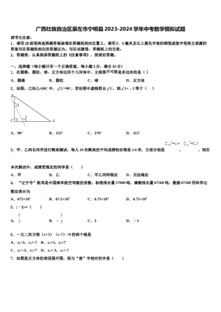广西壮族自治区崇左市宁明县2023-2024学年中考数学模拟试题含解析.doc