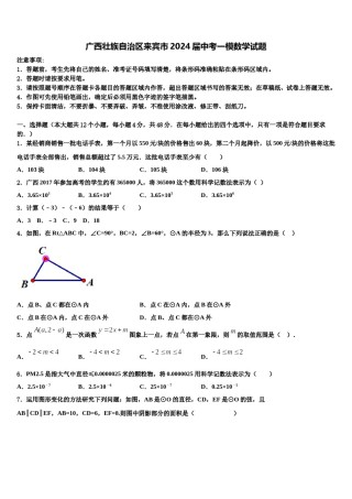 广西壮族自治区来宾市2024届中考一模数学试题含解析.doc
