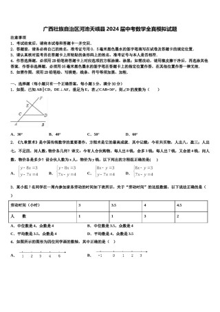 广西壮族自治区河池天峨县2024届中考数学全真模拟试题含解析.doc