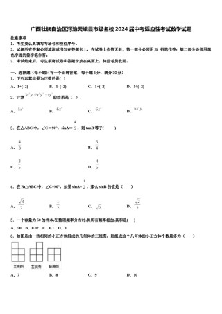 广西壮族自治区河池天峨县市级名校2024届中考适应性考试数学试题含解析.doc