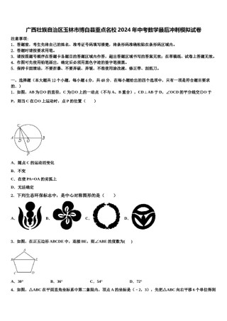 广西壮族自治区玉林市博白县重点名校2024年中考数学最后冲刺模拟试卷含解析.doc