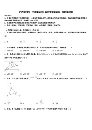 广西柳州市十二中学2024年中考考前最后一卷数学试卷含解析.doc