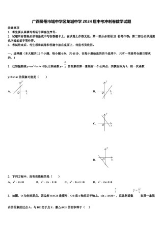 广西柳州市城中学区龙城中学2024届中考冲刺卷数学试题含解析.doc
