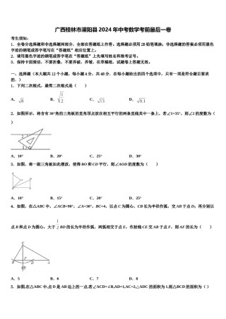 广西桂林市灌阳县2024年中考数学考前最后一卷含解析.doc