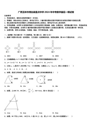 广西玉林市博白县重点中学2024年中考数学最后一模试卷含解析.doc