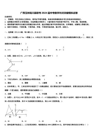 广西玉林陆川县联考2024届中考数学对点突破模拟试卷含解析.doc