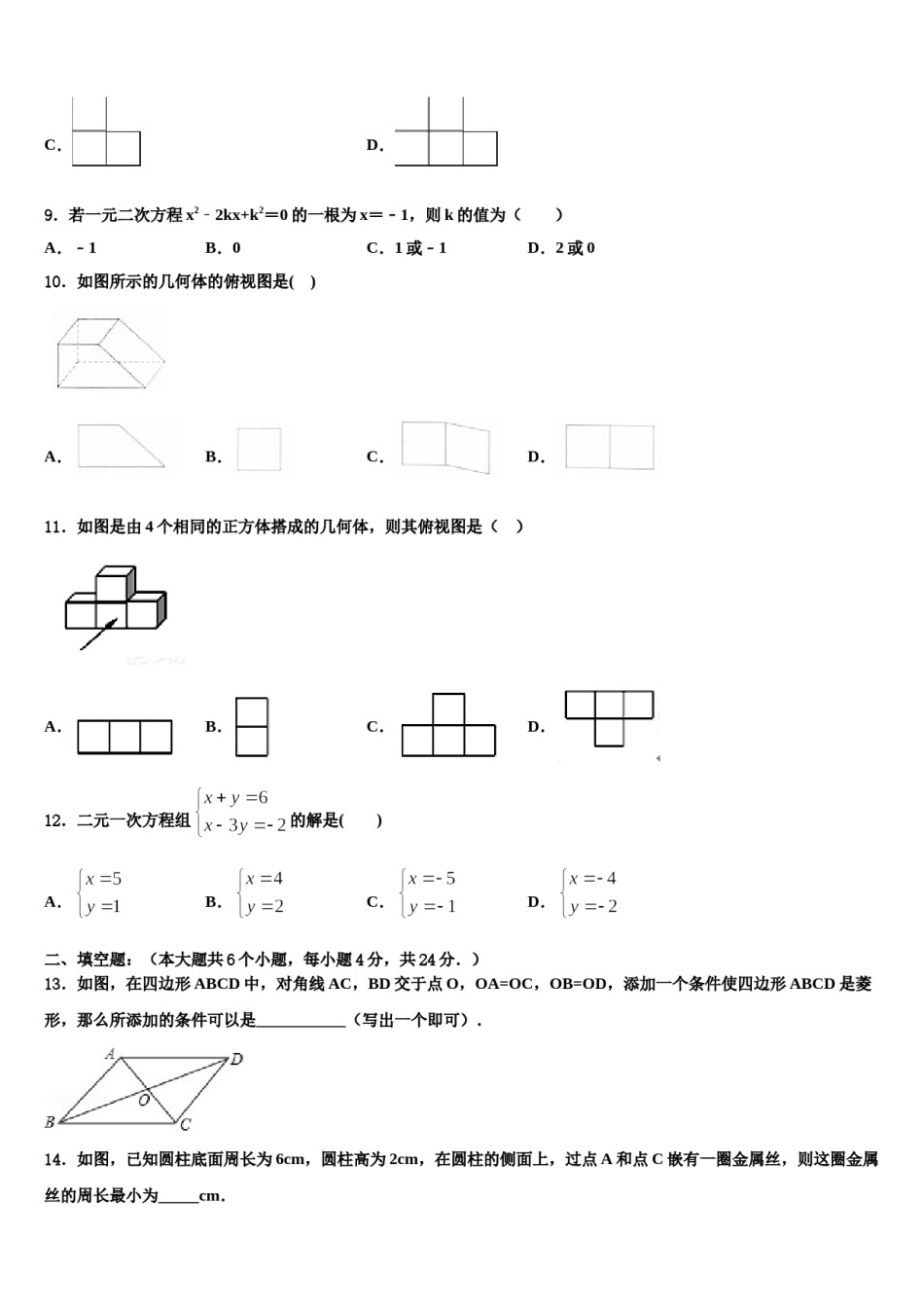 广西百色市2024届中考数学考前最后一卷含解析.doc_第3页