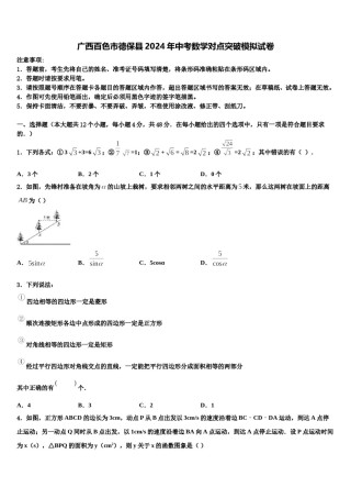 广西百色市德保县2024年中考数学对点突破模拟试卷含解析.doc
