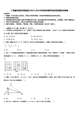 广西省北海市市级名校2023-2024学年初中数学毕业考试模拟冲刺卷含解析.doc