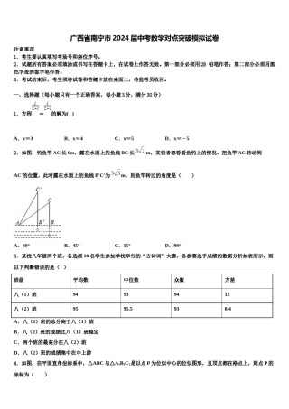 广西省南宁市2024届中考数学对点突破模拟试卷含解析.doc