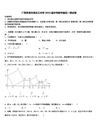 广西贵港市港北三中学2024届中考数学最后一模试卷含解析.doc