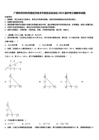 广西钦州市钦州港经济技术开发区达标名校2024届中考三模数学试题含解析.doc