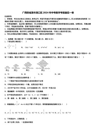 广西防城港市港口区2024年中考数学考前最后一卷含解析.doc