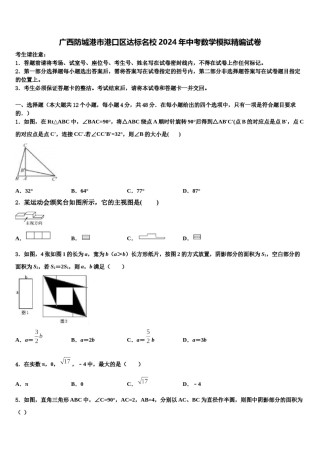 广西防城港市港口区达标名校2024年中考数学模拟精编试卷含解析.doc