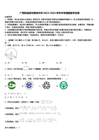 广西防城港市那梭中学2023-2024学年中考猜题数学试卷含解析.doc