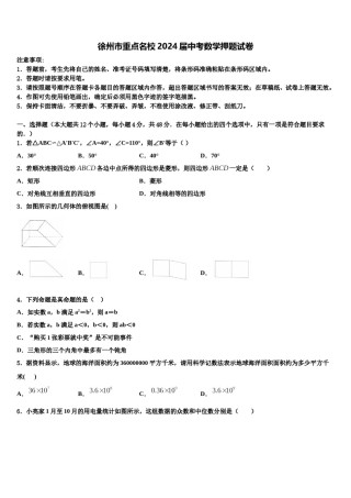 徐州市重点名校2024届中考数学押题试卷含解析.doc