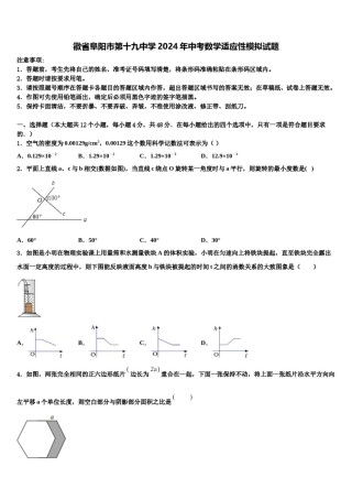 徽省阜阳市第十九中学2024年中考数学适应性模拟试题含解析.doc