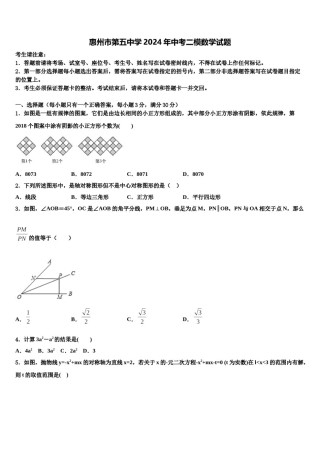 惠州市第五中学2024年中考二模数学试题含解析.doc