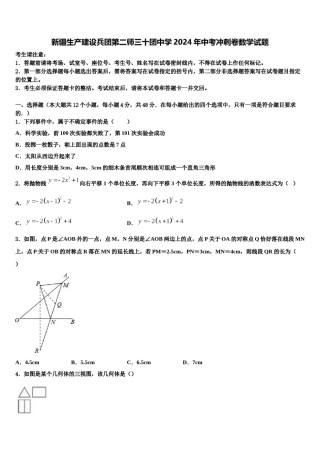 新疆生产建设兵团第二师三十团中学2024年中考冲刺卷数学试题含解析.doc