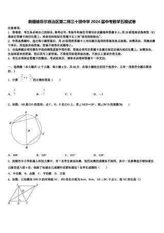 新疆维吾尔自治区第二师三十团中学2024届中考数学五模试卷含解析.doc