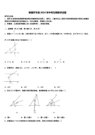 新疆莎车县2024年中考五模数学试题含解析.doc