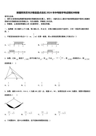 新疆阿克苏市沙雅县重点名校2024年中考数学考试模拟冲刺卷含解析.doc