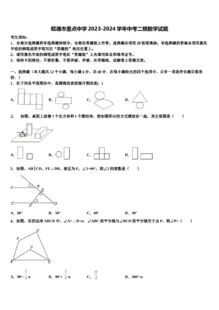 昭通市重点中学2023-2024学年中考二模数学试题含解析.doc