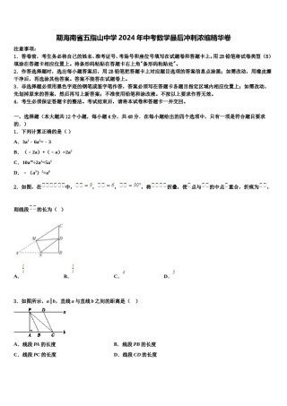 期海南省五指山中学2024年中考数学最后冲刺浓缩精华卷含解析.doc